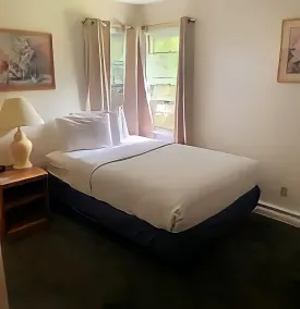 Fully furnished duplex - Image 4