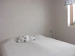 Large holiday home with holiday apartments in Österlen at the Baltic - Image 2