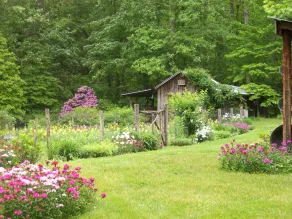Privat / afsondret hytte i Mature Woods ved Nat`l Park kort gåtur til Creek Pets OK - Image 5