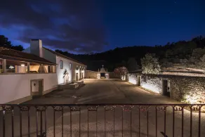 Quinta do Pinhô - Tarouca - Image 4