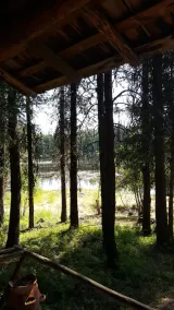 \"Loon's Nest\" rustikale Hütte versteckt zwischen den Kiefern - Image 3