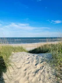Dune Haus - Oceanfront w Hot Tub, Private Beach - Image 5