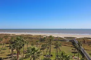 Galvestonian 409-Pelican Pathway - Image 5