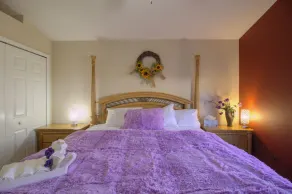 Heated pool, lakeview, double king size, 4 bedrooms, 6 beds, 2 bath, sleep 12 - Image 5