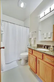 Luxury Ellicottville Chalet, w/Sauna, 8' ft hot tub, breathtaking slopeside view - Image 4