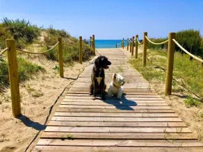 Fantastisk 5 soveværelser Beachfront rækkehus i Marbella bedste strand udsigt over havet - Image 3