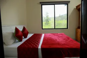 Green Garden Jasmine Cottage - Image 5