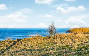 Pet friendly home in Warnoleka with WiFi - Image 5