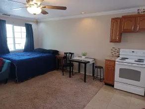 Spacious & Modern studio in the Heart of Roseville  - Image 5