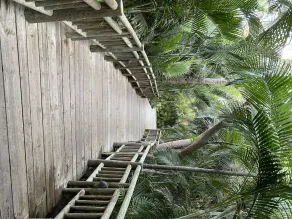 Vidanta Luxury Paradise by - Image 5