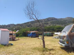 VanVida Village, A retro VW campervan natural park site - Image 4