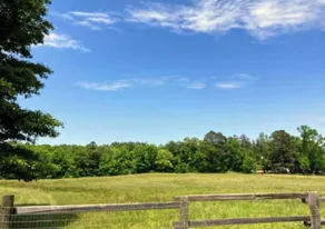 40 Acres 4 Bedroom  4 full bathroom Home with a Pond stocked with Fish & RV Port - Image 4