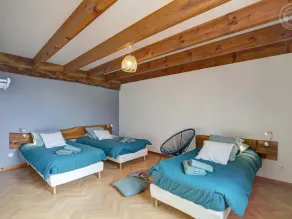 Bequemes Ferienhaus im Herzen der Loire mit umzäuntem Garten - Image 3