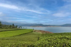 Emerald by Nature Resorts and Stays - Image 4