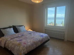 Large penthouse apartment with lake view - Image 5