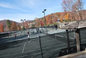 'Almost Heaven - Big Canoe Laurel Ridge - Walk to Amenities - Image 3