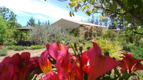 Unabhängige Villa mit privatem Pool im Luberon (6 Personen) - Image 4