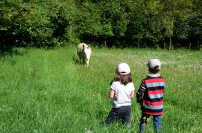 Ideal para niños: espacios abiertos, animales para abrazar, actividades para todos. - Image 3