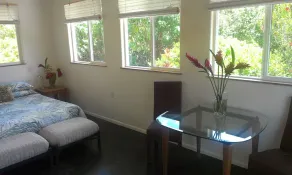 Oliana Cottage - Leilani Pahoa - Allergi Friendly - Image 3