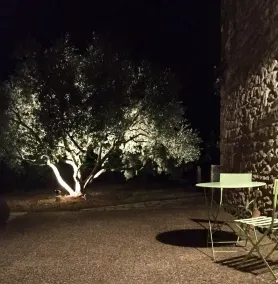 Ancien vignoble, aujourd'hui transformé en belles maisons de vacances - au coeur de la Provence - Image 5