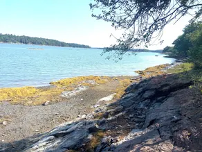 Waterfront Cottage - Image 5