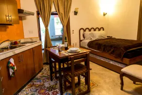 Plunge pool view! studio w/Netflix, wine cooler, etc. .9 mi. from central sq. - Image 5
