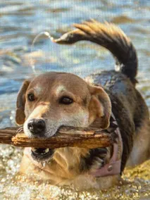 River Rock Retreat - Family & Groups - Southern Alberta, Turner Valley, Alberta - Image 2