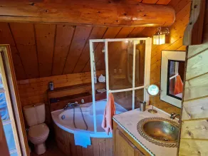 Chalet traditionnel en rondin avec Jacuzzi et  jardin arboré en Cévennes - Image 4