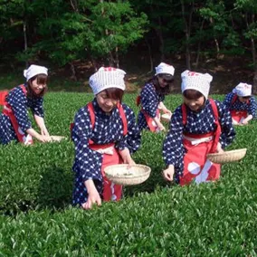Ebisuya - Image 4