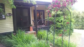 ROSA EM CASAS DE CAMPO DE LEAFIELD - Image 2
