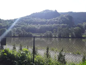 Le Chanteraine - Image 4