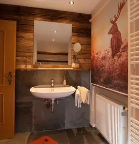 (3) Morgensonne Ein-Raum-App. 28qm, Dusche/WC, Küchenzeile, Balkon - Image 2