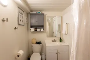 The Tiny House at Uproot Farms - A Unique Experience - Image 4