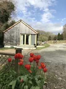Romantic hideaway on Dartmoor national park - Image 2