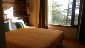 Views from top of Shimla, 600 M from the Mall Road and The Ridge, Drive - in - Image 5