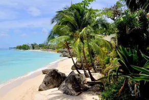 Secret Cove 4  | Beach Front - Located in  Tropical Saint James with House Cleaning Included - Image 2