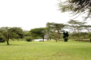 Nairobi National Park game viewing area - Image 4