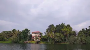 Pearl Spot - Image 3
