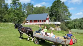 Fantastic nature, hot tub, sauna, boat on the lake, fishing paradise - Image 3