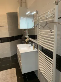 Completely refurbished, renovated bright apartment!!! - Image 4