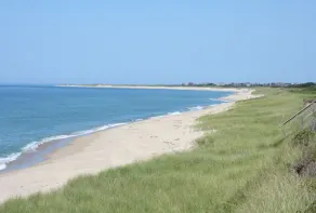 Lovely Oceanfront Cottage Plus 1BR Cabin on Beautiful, Pristine Beach - Image 3