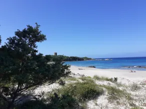 THREE-ROOM APARTMENT WITH AIR CONDITIONING AND PANORAMIC VIEWS, 400 m FROM THE SEA Vignola Maritime Village with a pool - Image 4