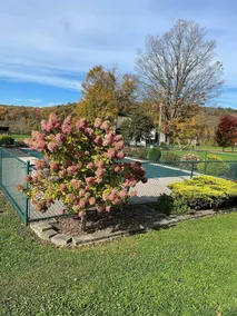 Lovely 4 bedroom 3 bath farmhouse with pool, located in Cooperstown, NY - Image 5