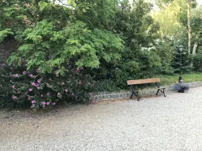 Graziosa casa colonica in campagna - Image 5