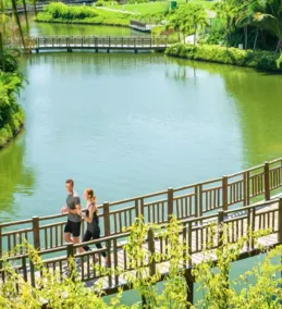Beautiful Vidanta Resort - The Grand Mayan Resort in Nuevo Vallarta - Image 2