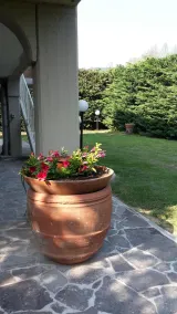 Ein VALE OF HOUSE - für ländliche Urlaubsunterkunft - Image 4