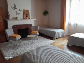 Spacious Home with Courtyard, Near Nature Park, 10 mins to Bellebouche, Fireplace, Garage - Image 5