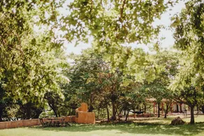 Lakefront Love Getaway: Winery, Kayaks, SUPs, Yoga, Massage, Krause Springs! - Image 3
