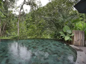 Fühlen Sie die Gelassenheit im Dschungel, Luxusunterkunft in Ubud Riverside - Image 5