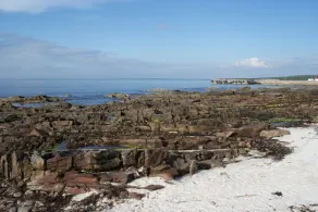 Luxury Self-Catering Traditional Family Farmhouse i John o'Groats, Caithness - Image 5